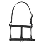 Halter for foal Riding World