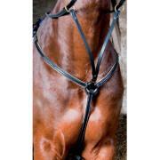 Hunting collar for horse doubledT de T