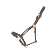 Leather halter for horse with plate T de T