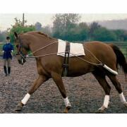 Elastic exercise horse harness Tattini