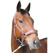 Halter for horse Vaillant Farrier securit