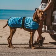 Cooling coat for dogs Weatherbeeta Therapy-Tec