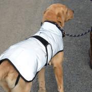 Reflective dog coat Weatherbeeta Comfitec moyen