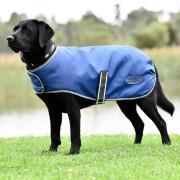 Dog coat Weatherbeeta ComFiTec Windbreaker Free