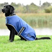 Dog coat Weatherbeeta ComFiTec Windbreaker Free